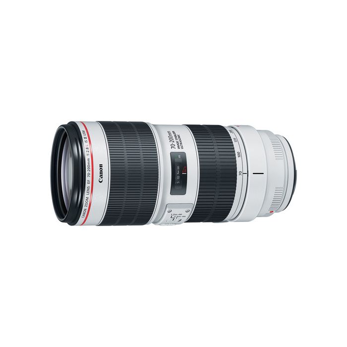 CANON 仕方 EF 70-200mm F2.8L IS USM エクステンダー付き